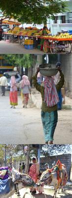 Streets of India -- all.JPG
